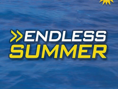 Endless Summer thumbnail